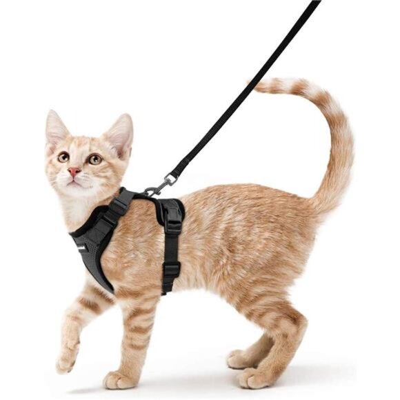 Cat Harness and Leash for Walking, Escape Proof Soft Adjustable Vest Harnesses - Picture 1 of 7